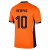 Camisola Holanda Memphis 10 Homen Equipamento 1ª Euro 2024